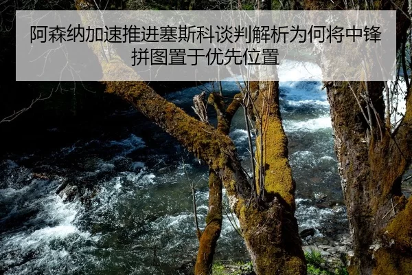 阿森纳加速推进塞斯科谈判解析为何将中锋拼图置于优先位置